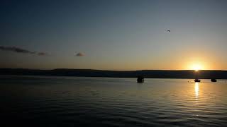 DSC 0050