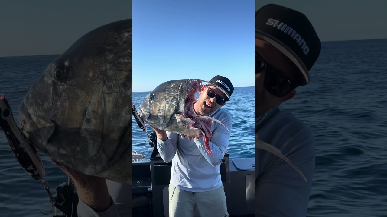 Where is the rest of my GT? 