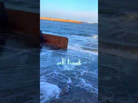 ١٢ سبتمبر ٢٠٢٣