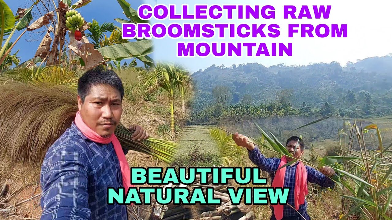 Collecting Raw Broomsticks from the Mountain | Beautiful Natural View | Village Life Vlog