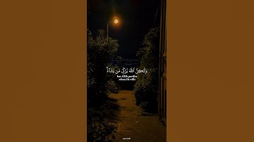 #قران_كريم #قرآن #المنشاوي #سورة_النور #quran #quran24k ❤️