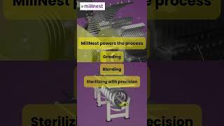 International Spice Exhibition 2025 | MillNest | Temaprocess
