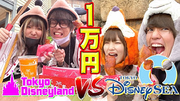 【対決】ディズニーランドとシーで先に1万円企画成功させたチームの勝ち！！【青ラブ】