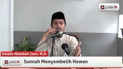 Panduan Qurban: Sunnah Menyembelih Hewan (Video) - Ustadz Abdullah Zaen, M.A.  - Durasi: 3:12. 