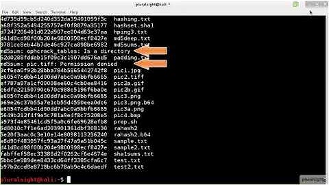 Kali Linux - vid 26 - Learn About sumtools/Hashingtools in Kali Linux - Linux Academy