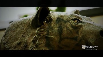 Capstone 2015 Informatics Overview  FHSU