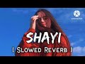 Sayi Slowed And Reverb Song Lofi Music