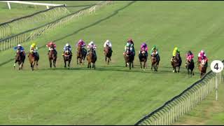 Vidéo de la course PMU PRIX HOLLYWOODBETS BRIGHT FUTURE MR 72 HANDICAP