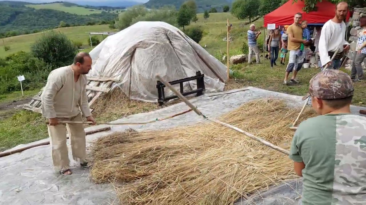 Ručné mlátenie obilia