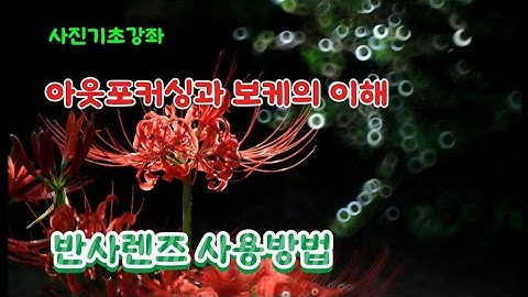 아웃포크싱과 보케 /반사렌즈 사용법/ 보케가 만들어지는 과정/사진기초강좌