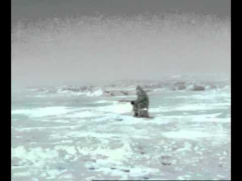 Killer Whale eats man ice fishing - YouTube