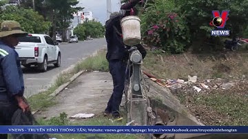 Cá chết nổi trắng hồ điều tiết Hòa Phú, Đà Nẵng