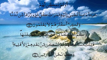 سورة القصص * الدوكالي * قالون