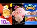 Curious Como | Watermelon + More Episode | Cartoon video for kids | Como Kids TV