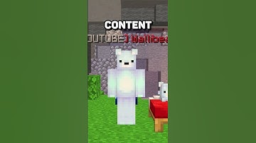 Cool Facts about Lunar Client you DIDN
