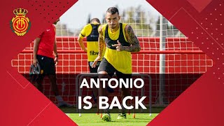 Antonio Is Back Rcd Mallorca