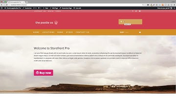 How to customize the WooCommerce Storefront header and search box with Storefront Pro