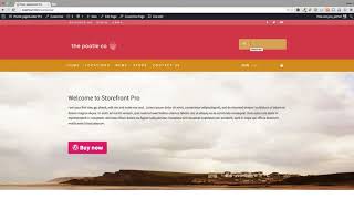 How to customize the WooCommerce Storefront header and search box with Storefront Pro