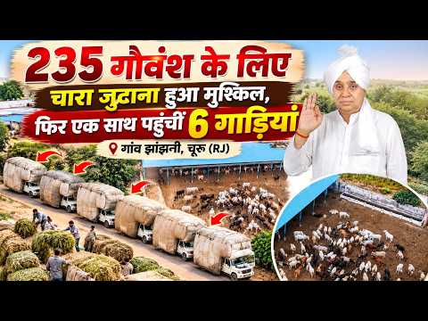 गांव झांझनी, चूरू (RJ) एक प्रार्थना के बाद 6 गाड़ियों में पहुंचा 350 क्विंटल चारा