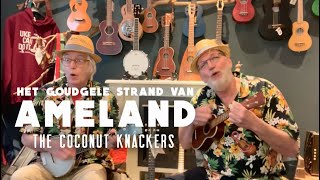 Video thumbnail of "Het goudgele strand van Ameland - ukulele cover coconut knackers - joek banjolele & Mahimahi sopraan"