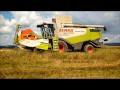 Claas Lexion 560 a 580 and 2x Massey Ferguson 8660 with Annaburger