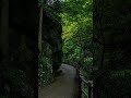 The beauty of Japan always fascinates people. its tooo beautiful