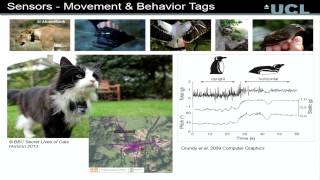 Technology for Nature (24 Oct 2013)
