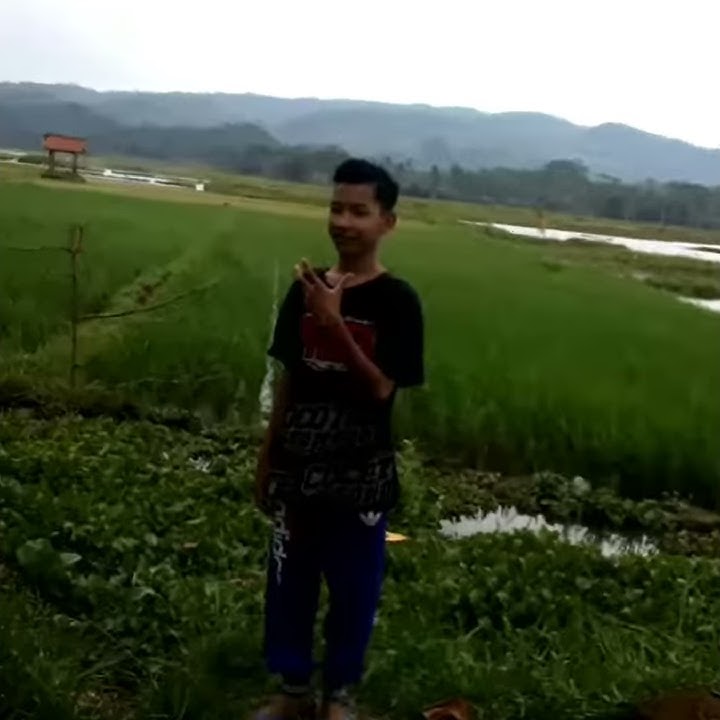 Pip Pip Pip Pip Calon mantu ||Quotes literasi 30 detik