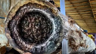 Download Lagu onverwacht fortuin wie had gedacht dat dit hout 1 miljard aangeboden zou krijgen MP3 Download Lagu onverwacht fortuin wie had gedacht dat dit hout 1 miljard aangeboden zou krijgen MP3