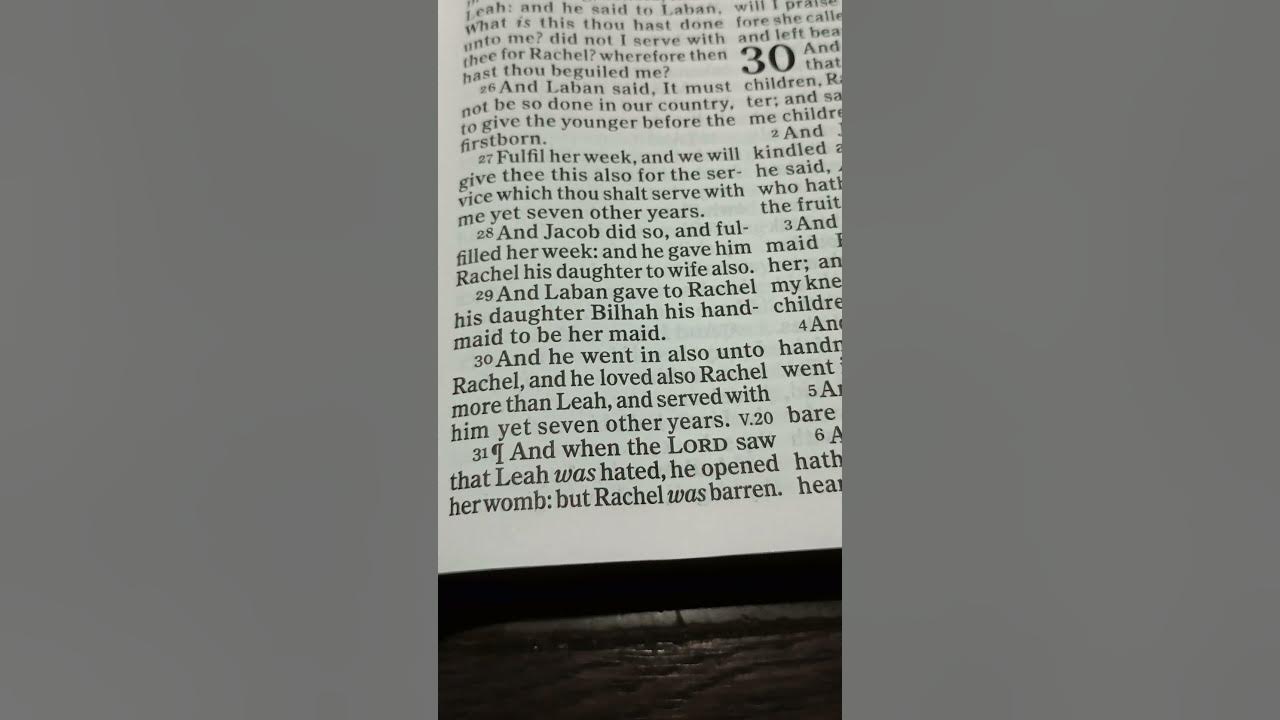 Bible Reading Genesis Chapter 29 Verse 30 bible biblereading bible-reading-genesis-chapter-29-verse-30-bible-biblereading