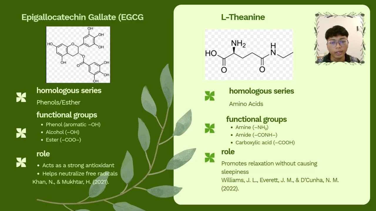 CHM258 - VIDEO PRESENTATION (THE BIOACTIVES OF GREEN TEA: CHEMICAL STRUCTURE AND HEALTH BENEFITS)