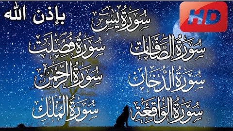 سورة يس، الصّافات، فصّلت، الدخّان، الرحمن، الواقعة و الملك مكررة للبيت بإذن الله|عبدالرحمن الماجد