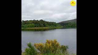 #Pentland - Harlaw Reservoir #shorts #Edinburgh | #Scotland |Camping at Pentland #YoutubeShorts