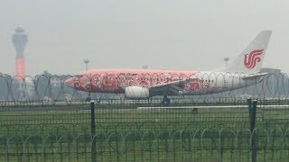 Air China B737-700 (Livery) Landing at Beijing