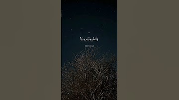 اكتب شيء تؤجر عليه//القارئ اسلام صبحي راحة لقلبك🥺❤️‍🩹