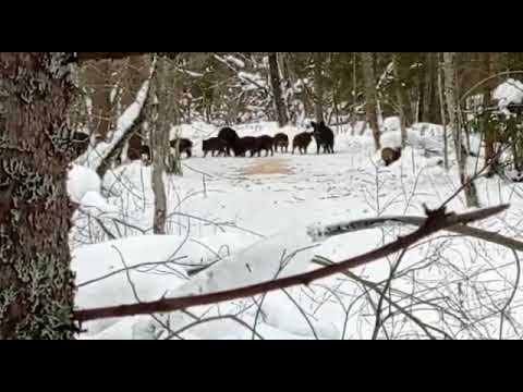 12 января 2023 г.