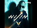 Vacaciones (Remix) Wisin 