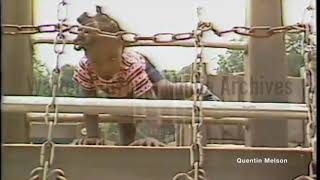 City Officials Setup Atlanta Safe Summer Program in Response to Atlanta Child Murders (6/1/81)