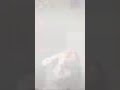حالات واتساب اغنيه طول محنا سوا