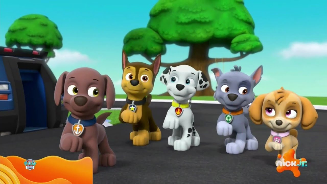 PAW Patrol Everest Rescues Skye & More Adventures! w/ Chase, 45 Minute  Compilation