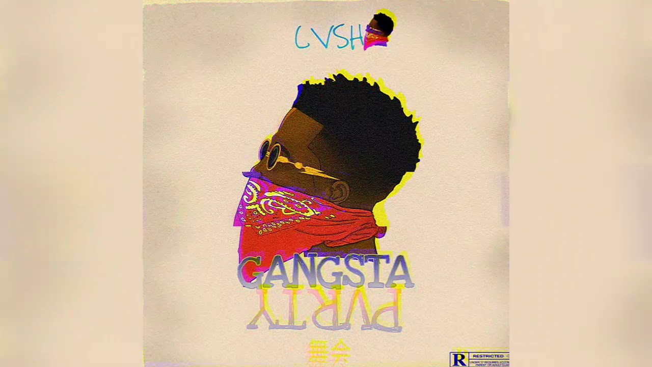 CVSHA-Gangsta party
