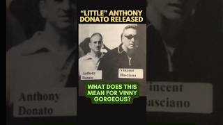 ANOTHER GANGSTER GETS RELEASED and What About Vinny Basciano #bonannofamily #fivefamilies