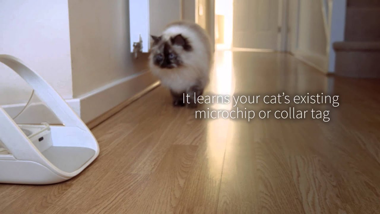 EN SureFeed Diet Demo