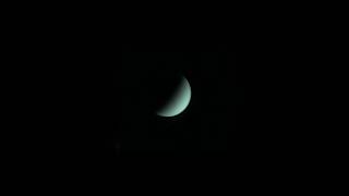 Venus from April to July