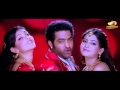 Brindavanam Movie Songs   Chinnado Vaipu Song   Jr NTR   Samantha   Kajal Agarwal   Mango Videos