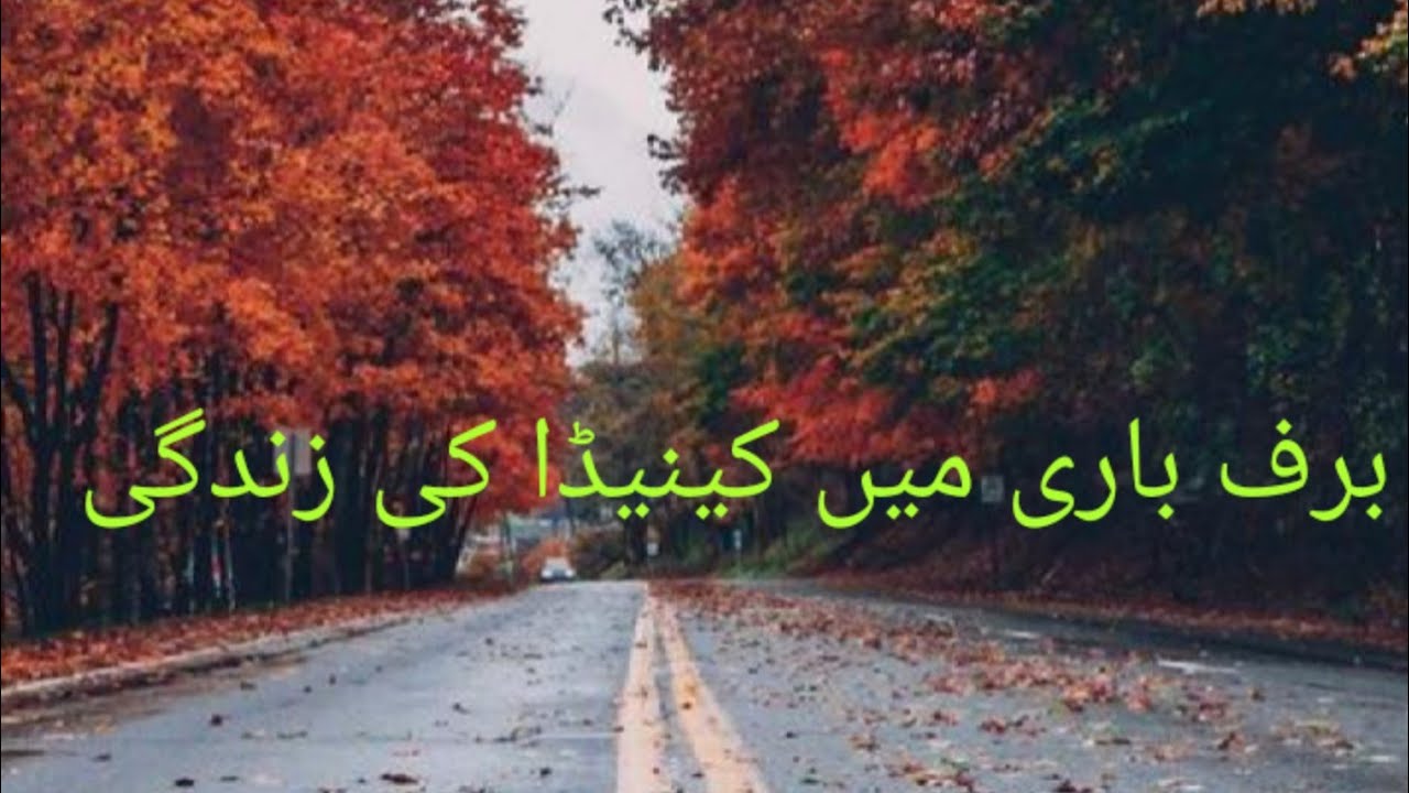 Life in Canada//Snowfall//Snow main job ki routine YouTube