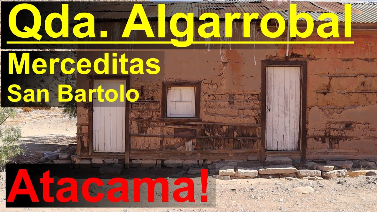 Excursión a Quebrada Algarrobal - el desierto de Atacama, Chile