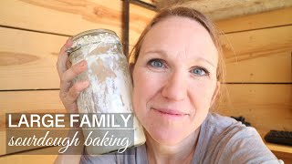 One Week with my Sourdough Starter // MOM OF 10 BAKING