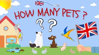 How many ? Pets ESL English practice