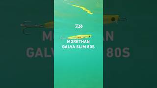 モアザン ガルバスリム 80S｜MORETHAN GALVA SLIM 80S